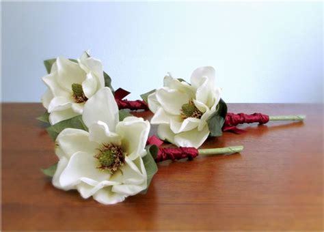 Magnolia 'manchu fan' beautiful #flowers #garden love. Ivory Single Stem Magnolia Bouquet with Burgundy Red Satin ...