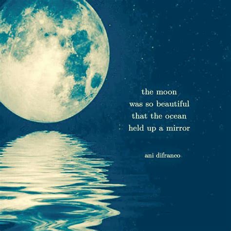 Moon And Stars Quotes Dunia Sosial