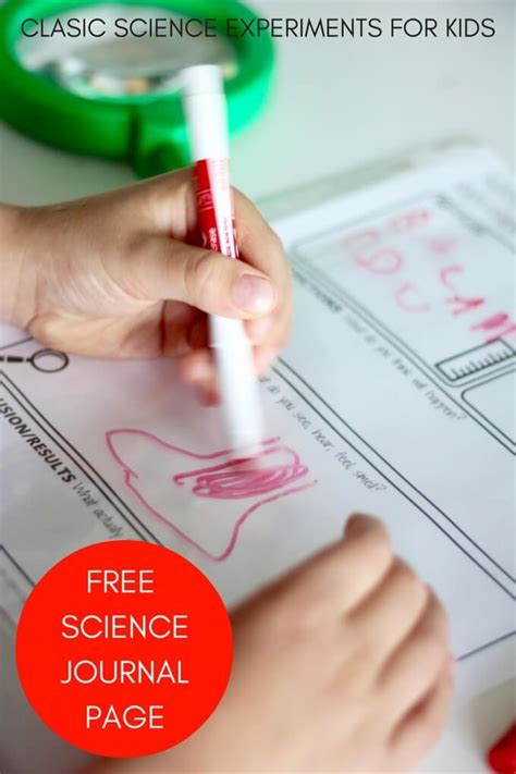 Each worksheet is a free downlaodable pdf file with and answer key attached on the second page. Printable Kids Science Worksheets for Science Experiments