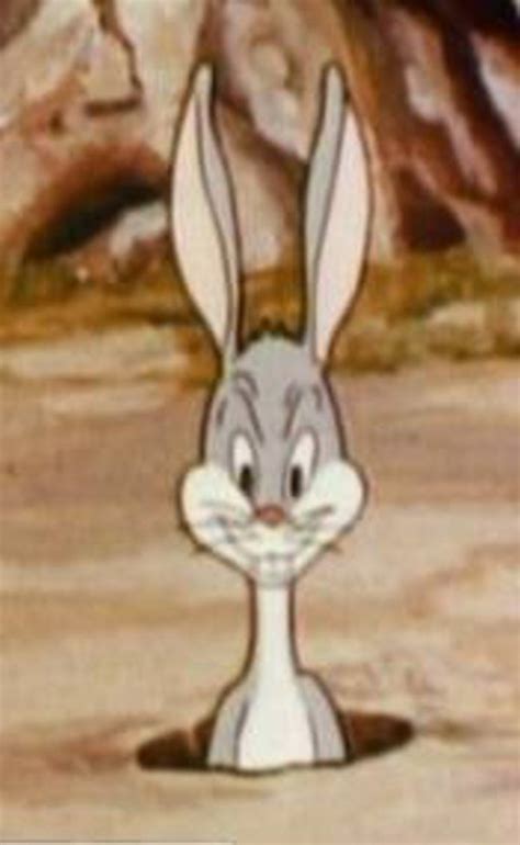 Happy 75th Anniversary Bugs Bunny Happy 75th Anniversary 75th