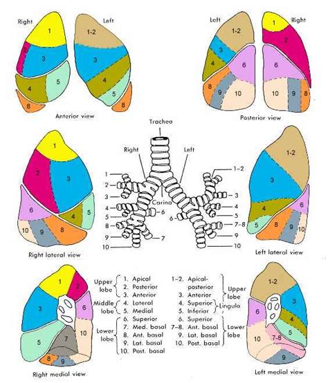 Nuclear Medicine Information
