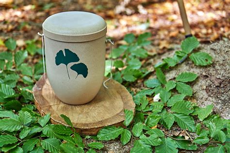 Green Goodbyes: How to Plan an Eco Friendly Funeral