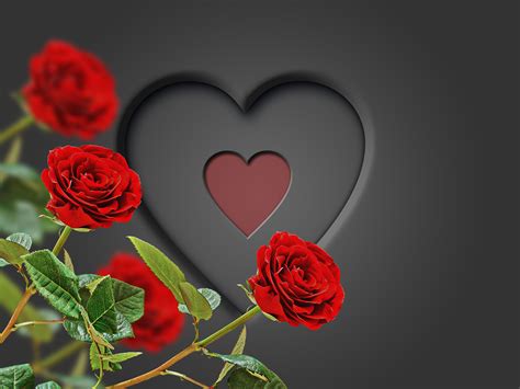 Heart Red Roses Wallpapers On Wallpaperdog