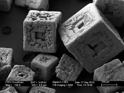 To view salt under varied magnifications so students can begin to construct the understanding that materials may be composed of parts that are too small to be seen. Gallery: Electron Microscope Images | Trente