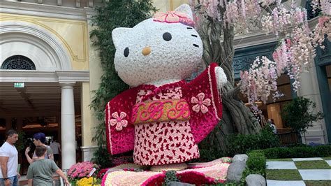 ❤ for all things hello kitty ❤ • r/hellokitty. Bellagio hotel & casino Conservatory hello kitty - YouTube