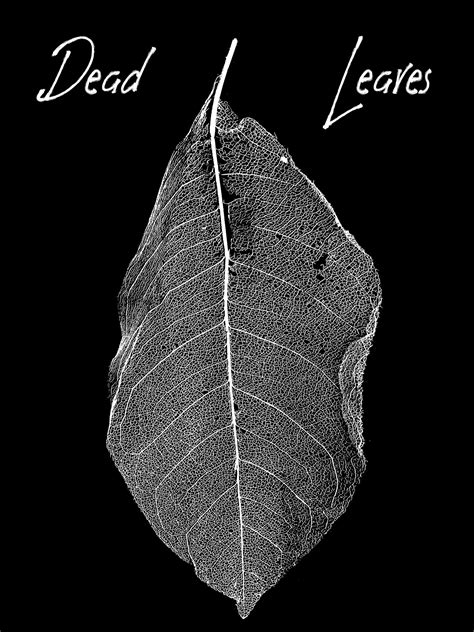 Dead Leaves Short Story By Ryan K Mallegni