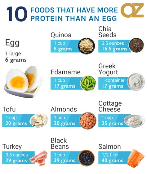 The 10 High Protein Foods You Should Be Eating High Protein Recipes