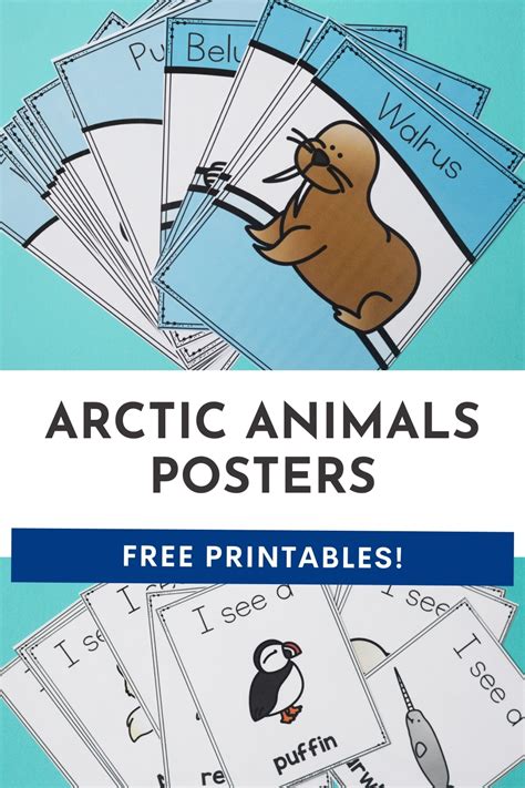 Free Printable Posters For Arctic Animals Preschool Theme Life Over Cs