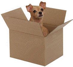 Our major pet relocation services are here. Pet Transportation Services, pet transport in Bengaluru