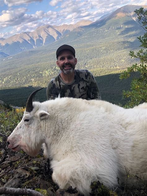 11 Day Mountain Goat Hunt For 1 Hunter In British Columbia Terminus