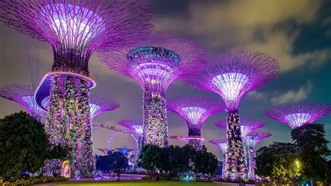 Graduate Careers In Singapore Singapore Global Law Firm Norton