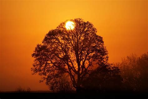 the rising sun photo by raymond troumbly national geographic your shot sun photo sunrise