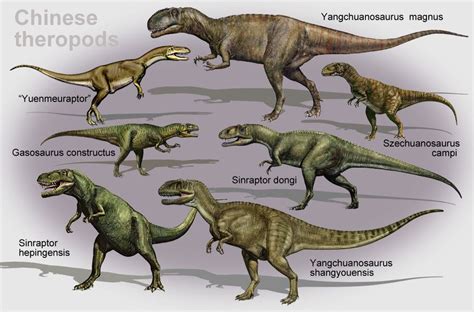 Chinese Theropods By ~atrox1 Saurischian Dinosaurs Pinterest