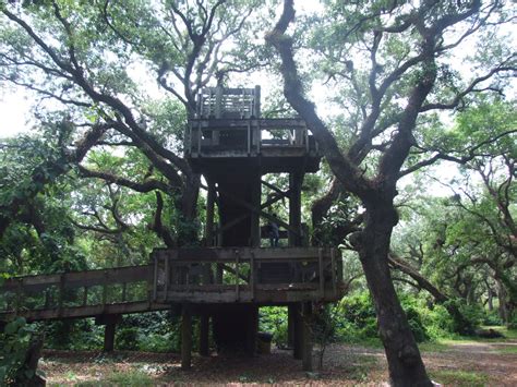 Sudeeps Blog Tree Tops Park Daviefl