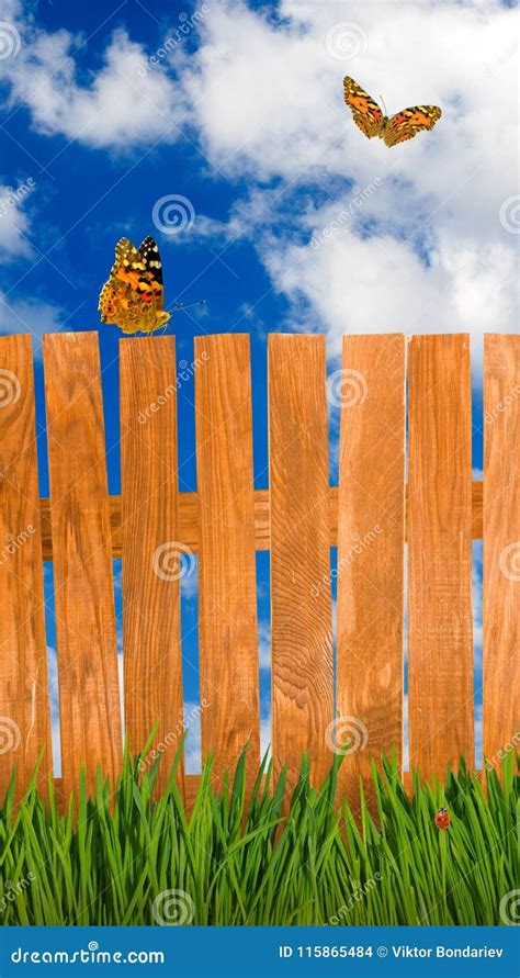 Fence In The Summer Garden Close Up Stock Photo Image Of Outdoor