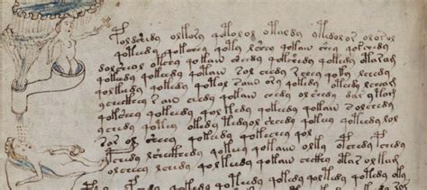 Bisecting The Voynich Manuscript Alphabet By Marco Ponzi