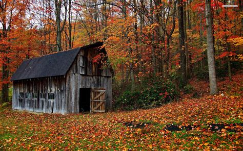 Autumn Log Cabin Desktop Wallpaper