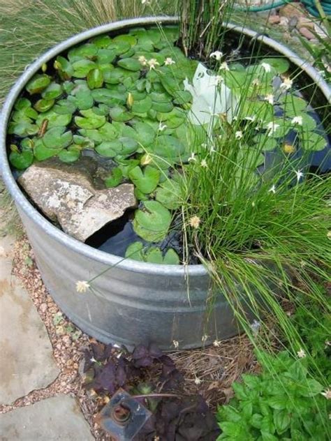 Learn how to start siphon easily, what size tubing (hose) to use, and how much water to remove for partial water changes. 86 best Galvanized Tub Water Gardens images by Container ...