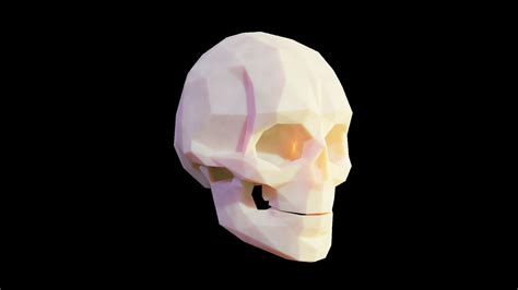 3d Model Low Poly Stylized Skull Vr Ar Low Poly Cgtrader