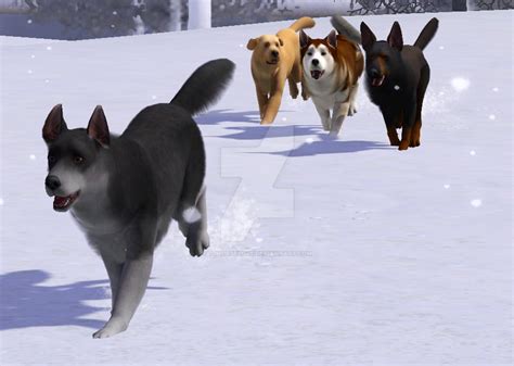 Dog Pack Sims 3 Pets By Tjhorselove On Deviantart