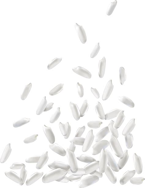 White Rice Png Download Image Grain Of Rice Vector Clipart Large