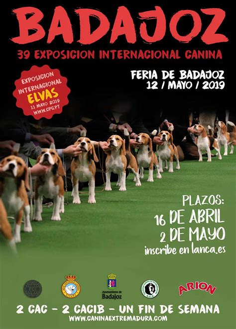 Exposiciones Caninas En Extremadura