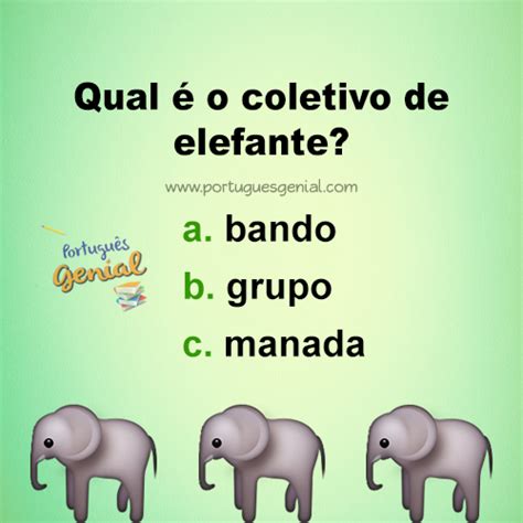 Coletivo de elefante Qual é o coletivo de elefante Português Genial