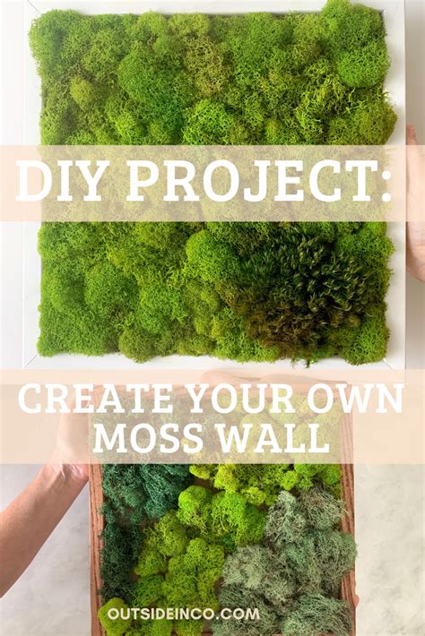 How To Create A Diy Moss Wall Moss Wall Moss Garden Moss Plant