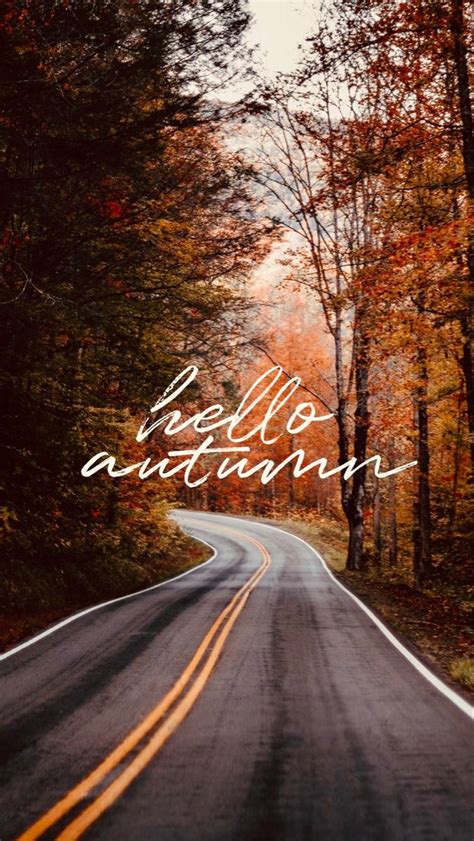 Pin By راشد الزيودي On Phone Case Hello Autumn Fall Wallpaper Cute