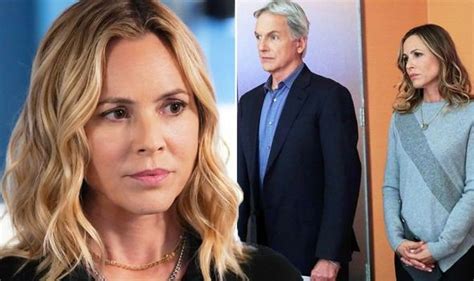Few plot details are available on the potential series, other than it will follow a according to sources, chris silber, jan nash, and matt bosack are attached as writers and executive producers on ncis: NCIS Hawaii: Jack Sloane to move to CBS spin-off in new ...
