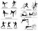 Ninja Fighting Styles