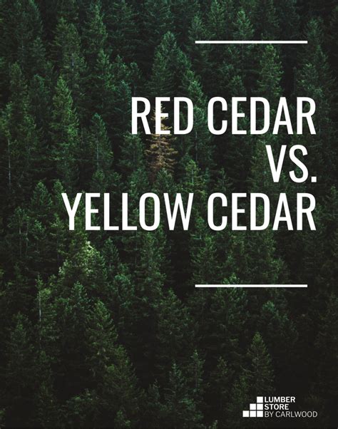Red Cedar Vs Yellow Cedar Lumberstoreca