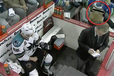 Stunning Babe Taunts Ice Hockey Player By Pressing Her Naked Boobs Against Penalty Box Daily