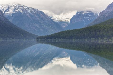 Bowman Lake Reflections 52616 Nps Jacob W Frank Glaciernps