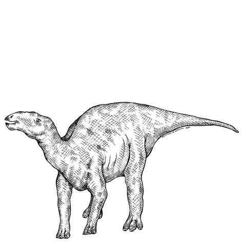 Kritosaurus Dinosaur Drawing By Karl Addison