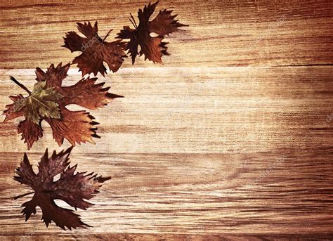 Maybe you would like to learn more about one of these? Autumn leaves border — Stock Photo © Anna_Om #7152769