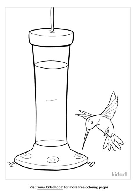 Hummingbird Feeder Coloring Pages Free Birds Coloring Pages Kidadl