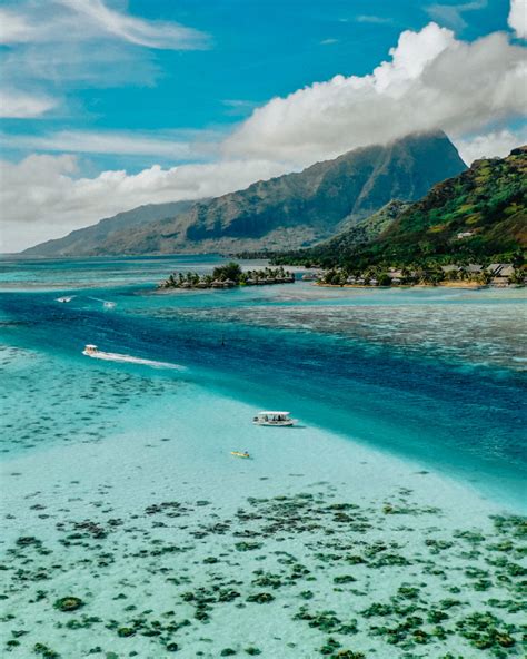 28 Best Things To Do In Moorea French Polynesia Moorea Travel Guide