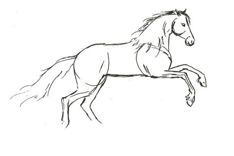 Horse Drawings To Trace