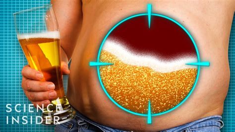 Why Do Men Get Beer Bellies Space Source