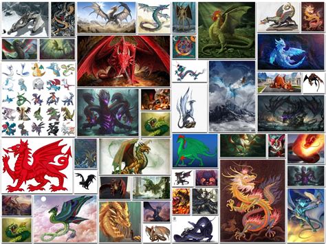 51 Different Types Of Dragons Their Origins And Symbolism Types Of All
