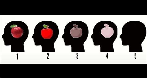 The Apple Visualization Exercise Chart For Aphantasia Think Of An Apple In Your Head Apple