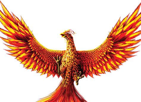 Phoenix Bird Transparent Background 640x480 Png Download Phoenix