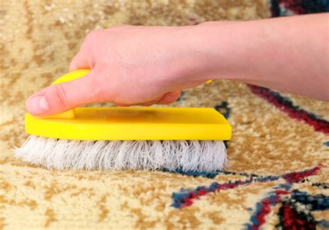 Jul 23, 2021 · si vous souhaitez que votre tapis conserve son aspect d'origine, il est indispensable de l'entretenir régulièrement. Comment nettoyer un tapis taché - Tout pratique | Nettoyer ...