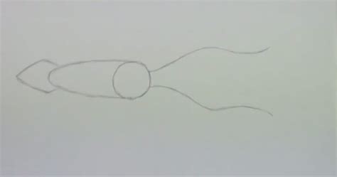 Kako Nacrtati Lignju Slika Kako Nacrtati Lignju 3