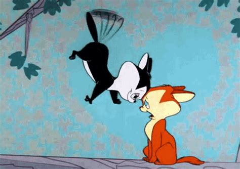 Looney Tunes Cats  Looneytunes Cats Love Discover