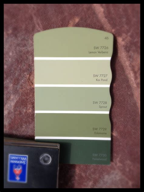 Sage Color Palette Best Exterior Paint Colors Colorado Painter