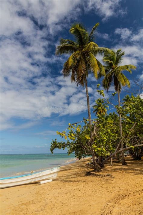 Beach In Las Terrenas Dominican Republ Stock Photo Image Of Idyllic