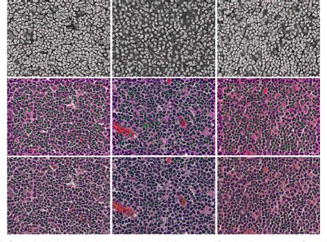 A program to generate blobs around areas of similar colour, texture, etc in an image. Figure 10 from A Generalized Laplacian of Gaussian Filter ...