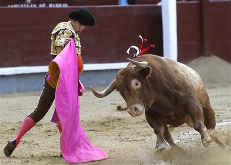 Bullfighting Is Animal Cruelty The Washington Post